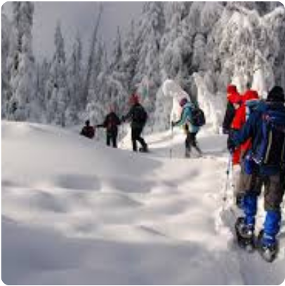 Raquetas de nieve