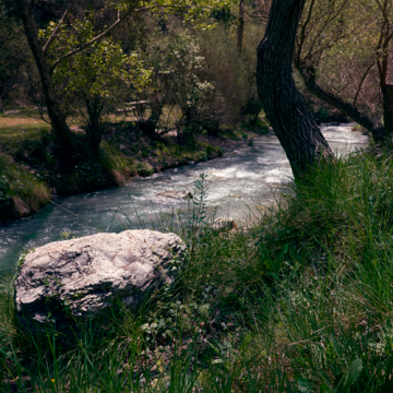 vereda de la estrella